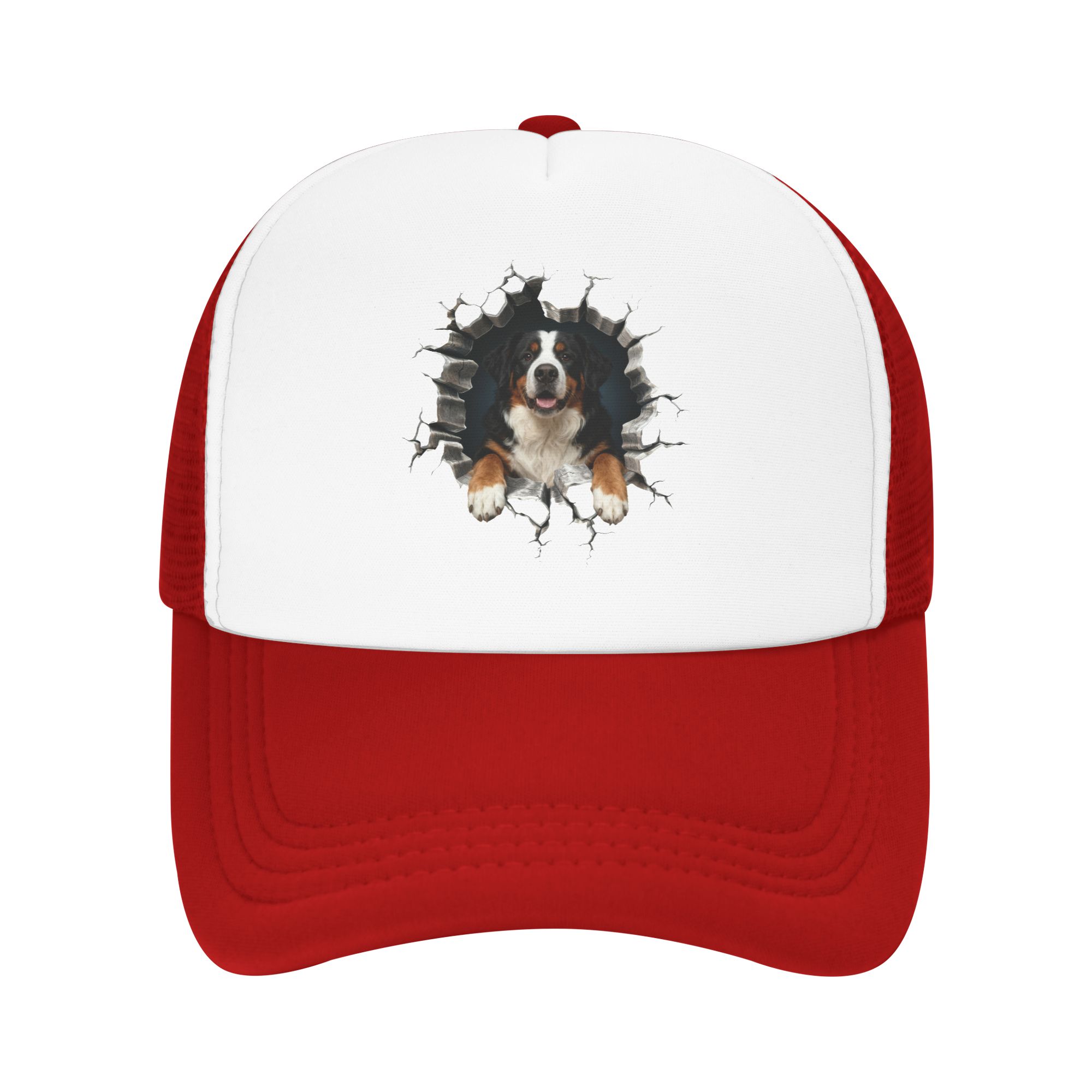 Кепка-тракер Breaking Through  – обзор и цена Trucker Hat Cap